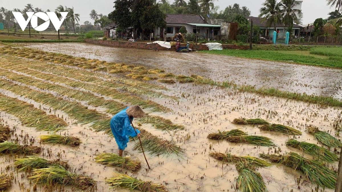 Tập trung hỗ trợ ngư dân Nhơn Lý tìm kiếm tàu thuyền bị sóng đánh chìm